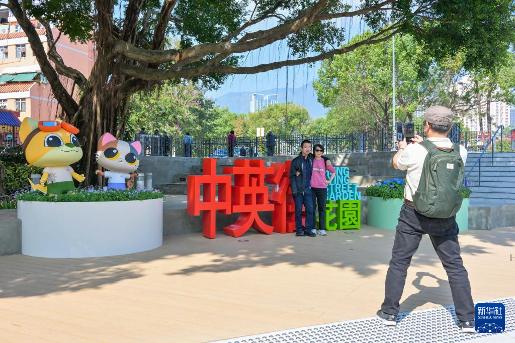 香港内部免费资料期期准，深度探索与理解