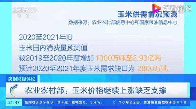 探索未来，解析2024新奥精准正版资料的重要性与价值