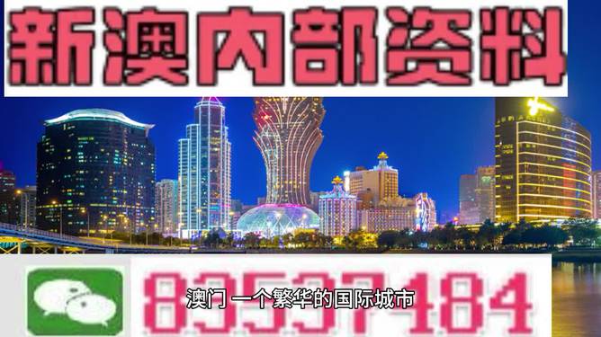 2024新澳最精准资料,经典分析说明_领航版52.523