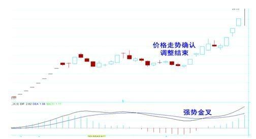 2024澳门特马今晚开奖98期,稳定策略分析_XT92.521