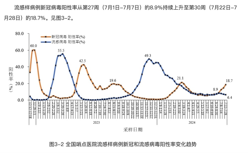 2024年11月份新病毒,持续设计解析方案_Pixel11.995