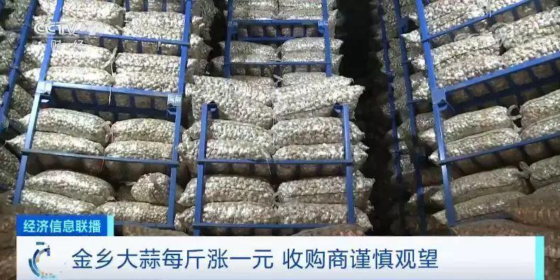 金乡大蒜最新价格动态分析