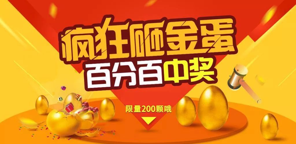 王中王100%期期准澳彩,实地数据分析计划_网页版80.388