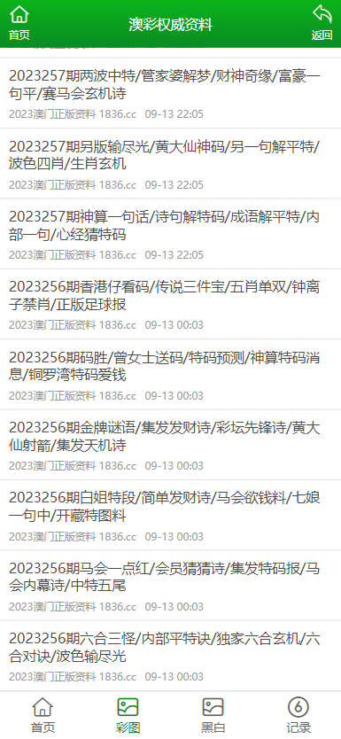 2024新澳门正版资料免费大全,福彩公益网,定性解读说明_游戏版256.184