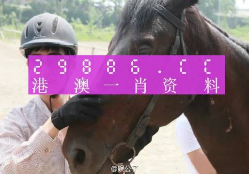 今晚上澳门必中一肖,专业分析解析说明_策略版10.689