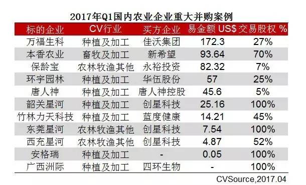 2024新奥历史开奖记录85期,实际案例解释定义_3K93.11