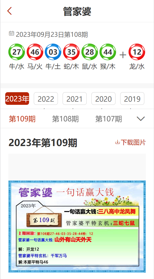 管家婆2024资料精准大全,数据整合策略分析_V20.773