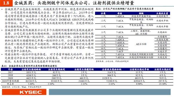 新澳门天天彩期期精准,符合性策略定义研究_6DM51.481