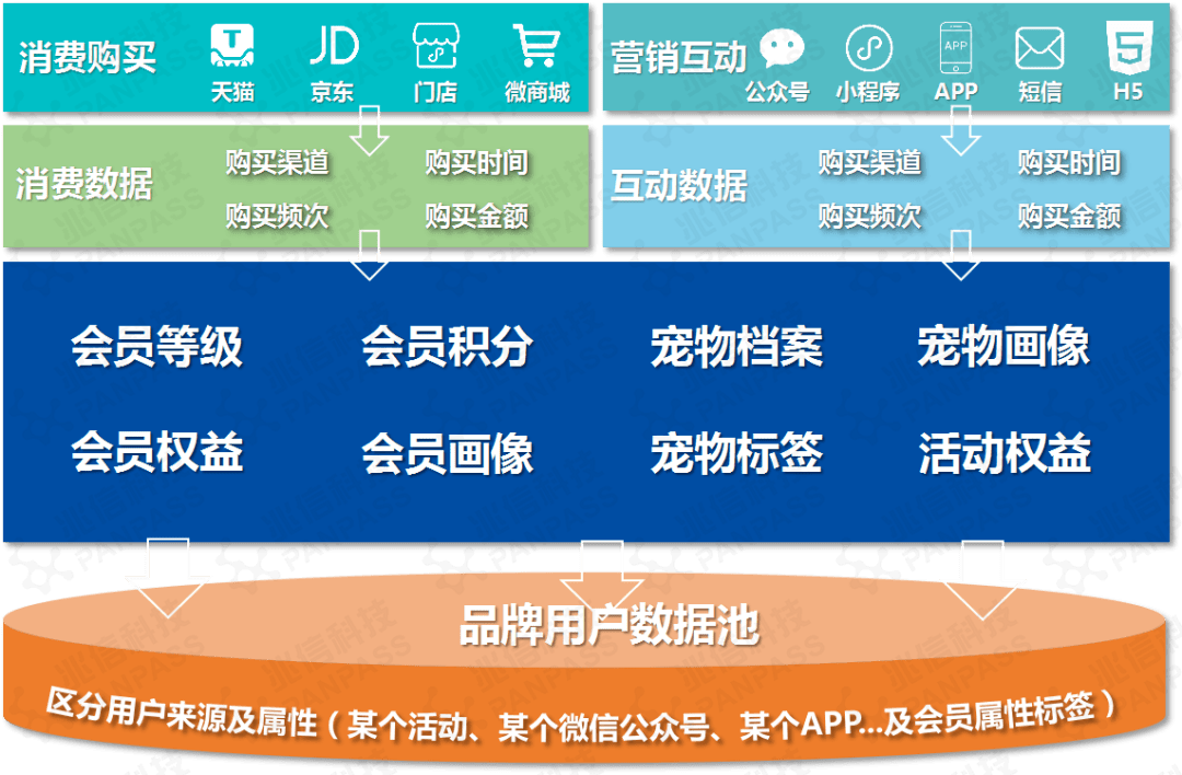 澳门一码一肖100准吗,创新解析方案_精简版84.676