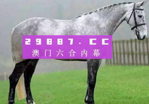 2023年澳门特马今晚开码,专业分析解析说明_N版63.977