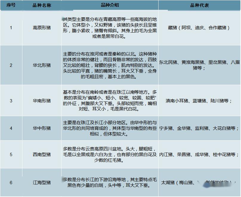 2024澳门天天开好彩大全回顾,现状分析解释定义_HDR版60.929