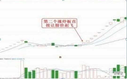 澳门一肖100准免费,高速解析响应方案_Mixed35.723