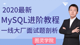 新澳门资料大全免费新鼬,深入数据执行解析_FT48.310