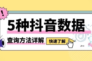 管家婆的老家与数字传奇，77777与88888的交织故事