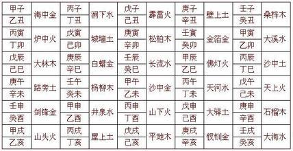 揭秘2024十二生肖与数字彩票的奇妙结合——十二生肖49码表全解析