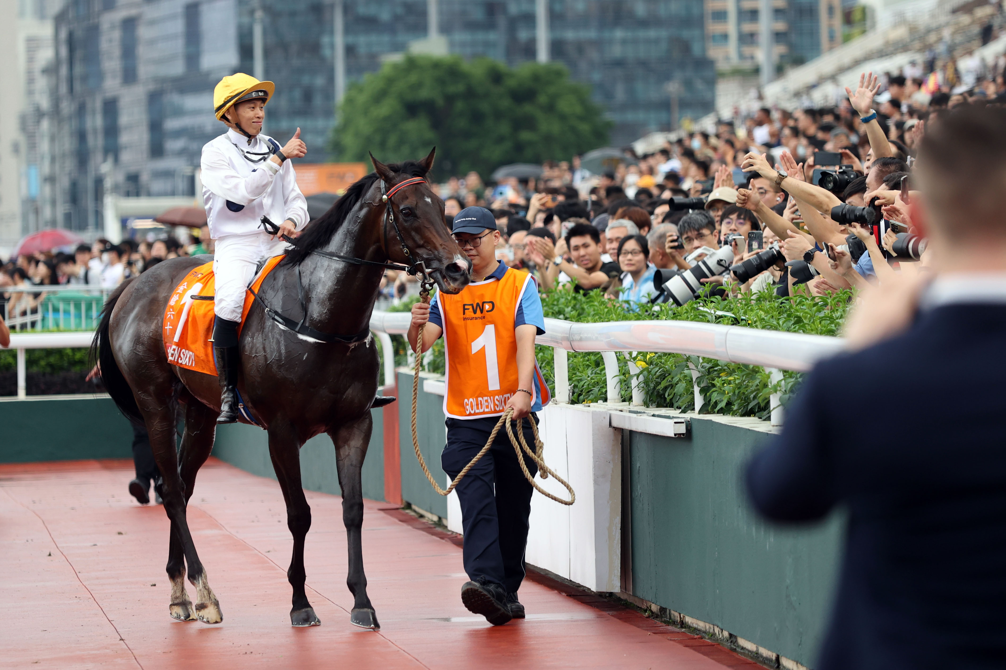 探索香港赛马，2024全年免费资料指南