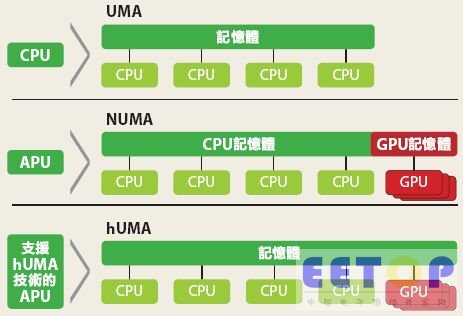 澳门最精准资料免费公开，揭露违法犯罪风险与警示公众