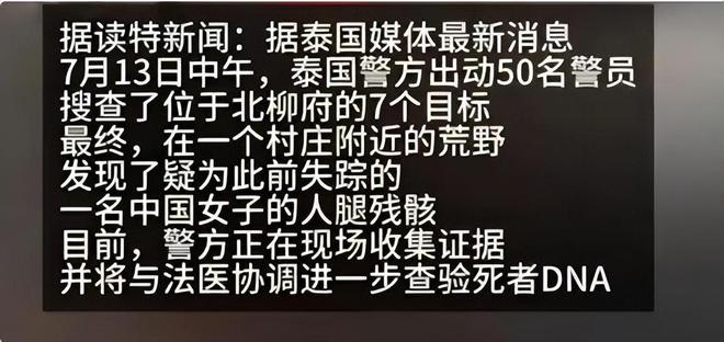 澳门正版资料大全与犯罪风险，免费歇后语下载的警示