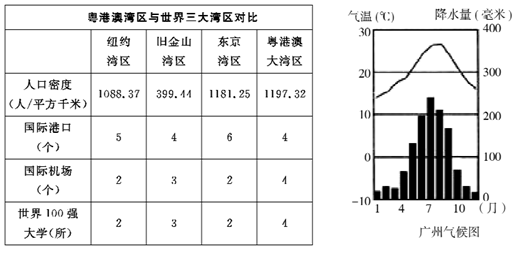 澳门资料表，探索与解读（XXXX年）