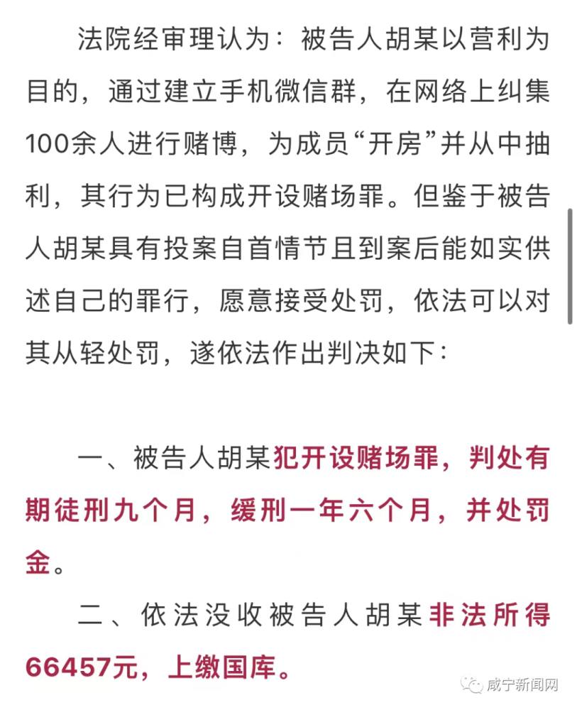 澳门正版资料全年免费看，一个关于犯罪与法律的话题探讨