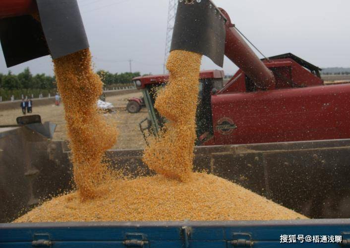 高价收购粮食，联系飞机运输的商业模式探讨