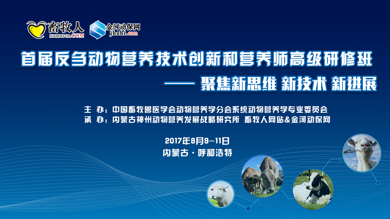 通报最新，科技创新与社会发展的紧密联动