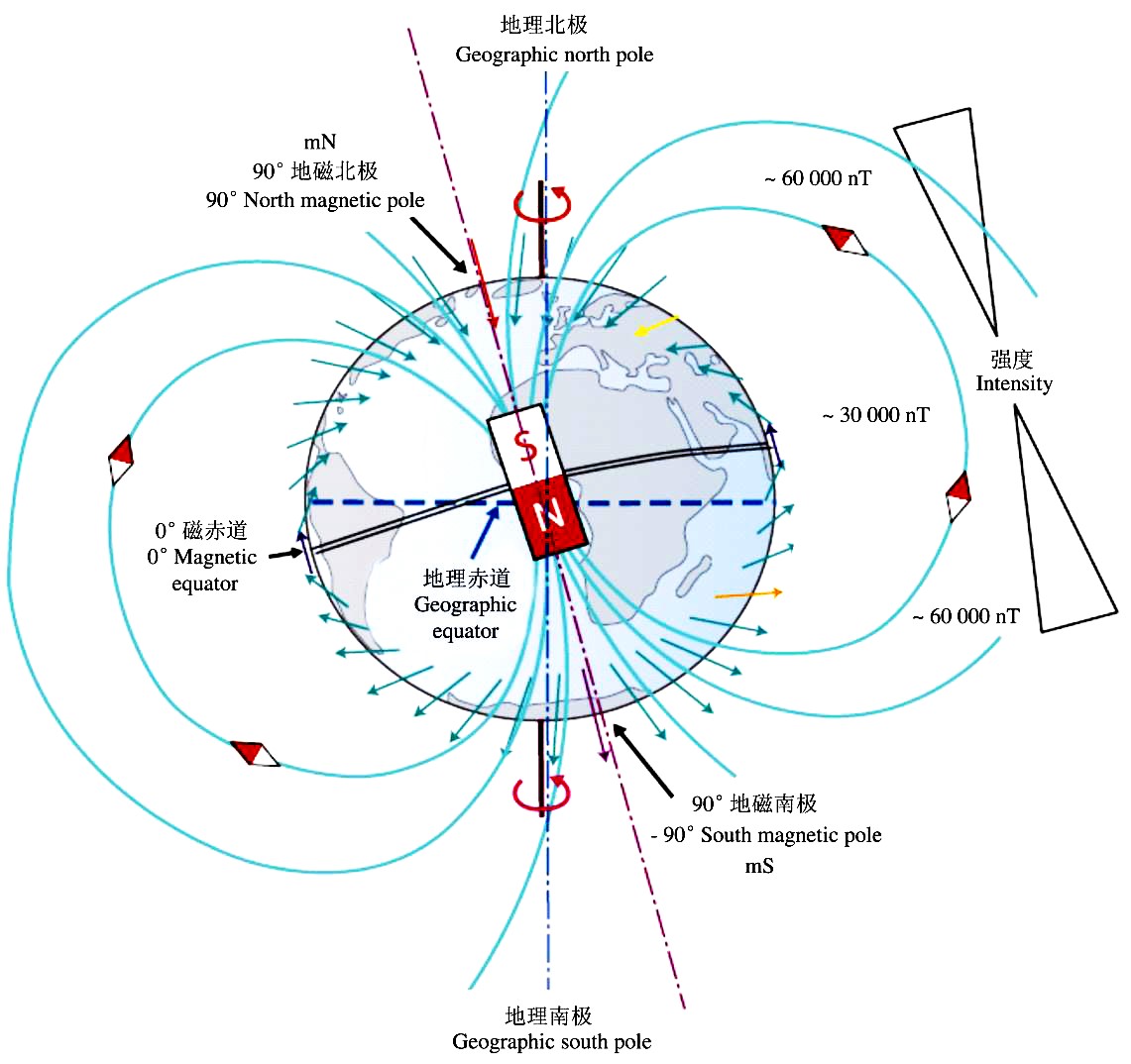 地磁最新研究进展及其应用前景