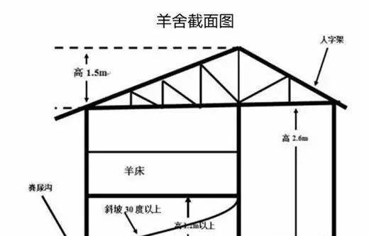 最新羊舍的设计与管理的探讨