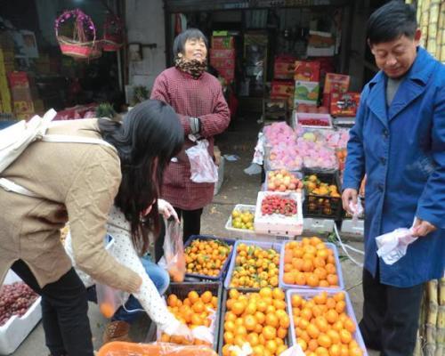 水果奶奶二论坛资料深度解析