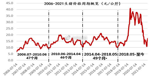 最新生猪价格走势分析