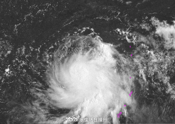 福州天气台风最新动态报告
