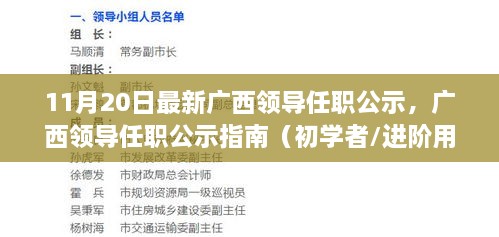 广西副厅任职公示最新动态，新一批领导亮相，期待引领发展新篇章