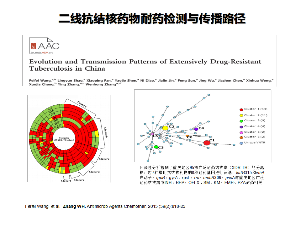 结核病最新药物研究与应用进展